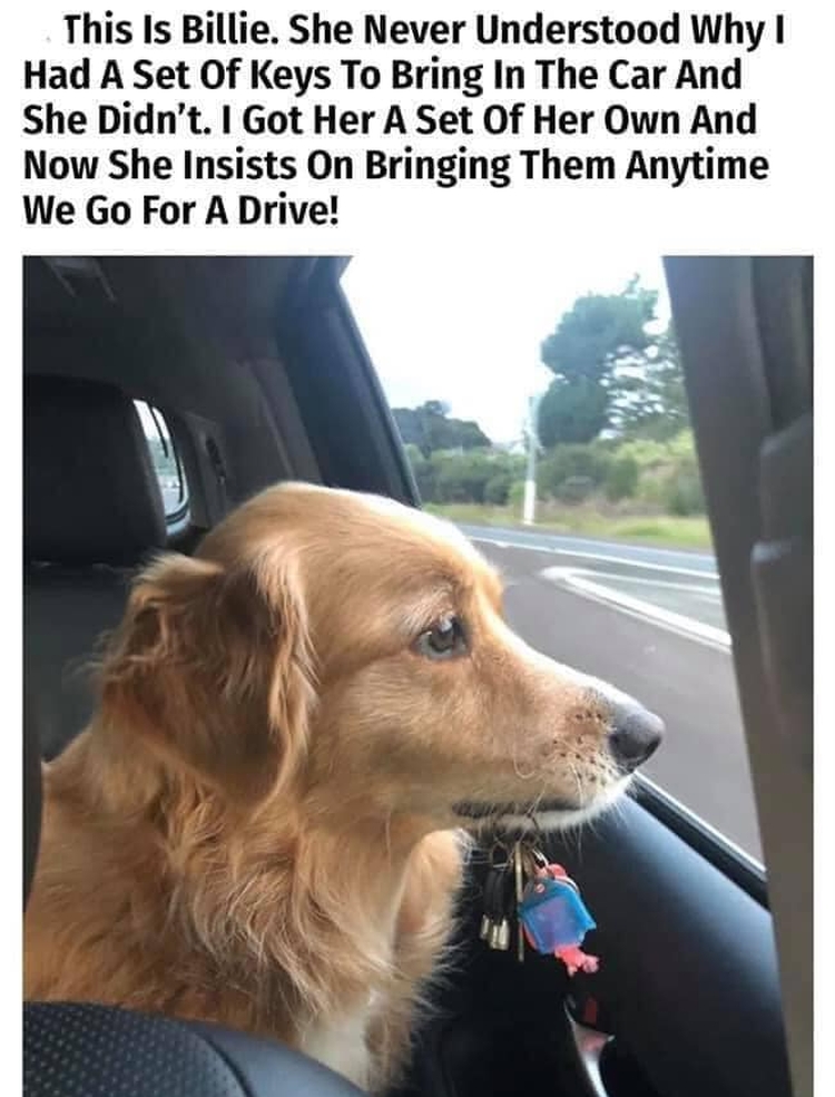 Coronavirus and Mpox Tidbits 308, August 18, 2024 Dr. Judy Stone