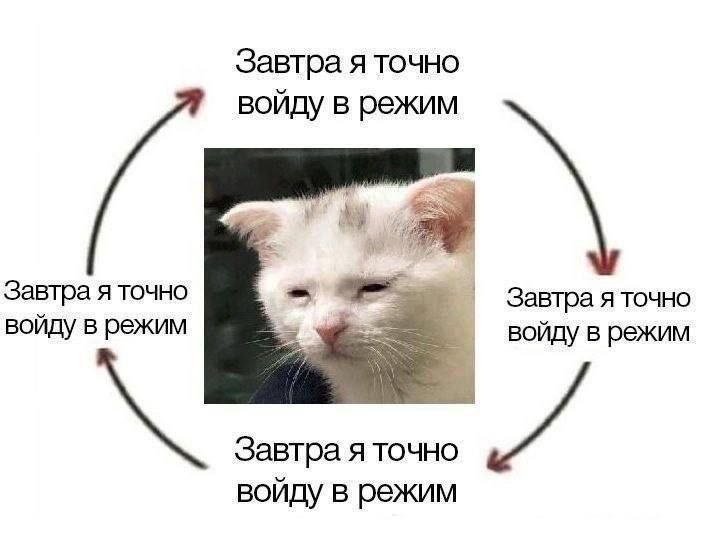 catsilcats's tweet photo. и так всю жизнь https://t.co/EzosbSBf4b