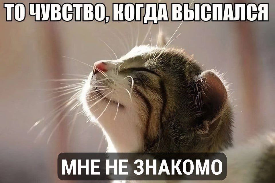 catsilcats's tweet photo. https://t.co/puf19g4jhD