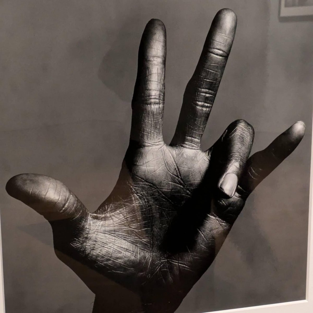 unifunked's tweet photo. 'Fragile Beauty'. Contemplates the experiences that shape our form.

The Chet Baker photographs capture much around his life.
Miles Davis's hand lines are perhaps as complex as his living.

Many more works to ponder in the context of these two collectors lived human experiences. https://t.co/DBZcSWloMq