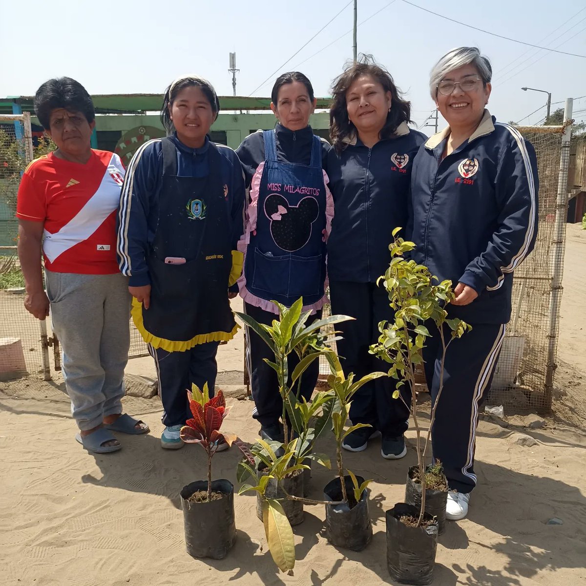 Legendarios_Vol's tweet photo. ARBORIZACIÓN - ALTO TRUJILLO 
Cumplimos con la I.E. 2191 del Barrio 1 - Alto Trujillo. Muchas gracias Prof. Milagros Loyaga y a todo el equipo docente por permitirnos apoyar.
Agradecemos al Vivero Trujillo Garden y Corlad La Libertad.

LEGENDARIOS - Una Vida Digna de Ser Contada https://t.co/p0iL8EpwHI