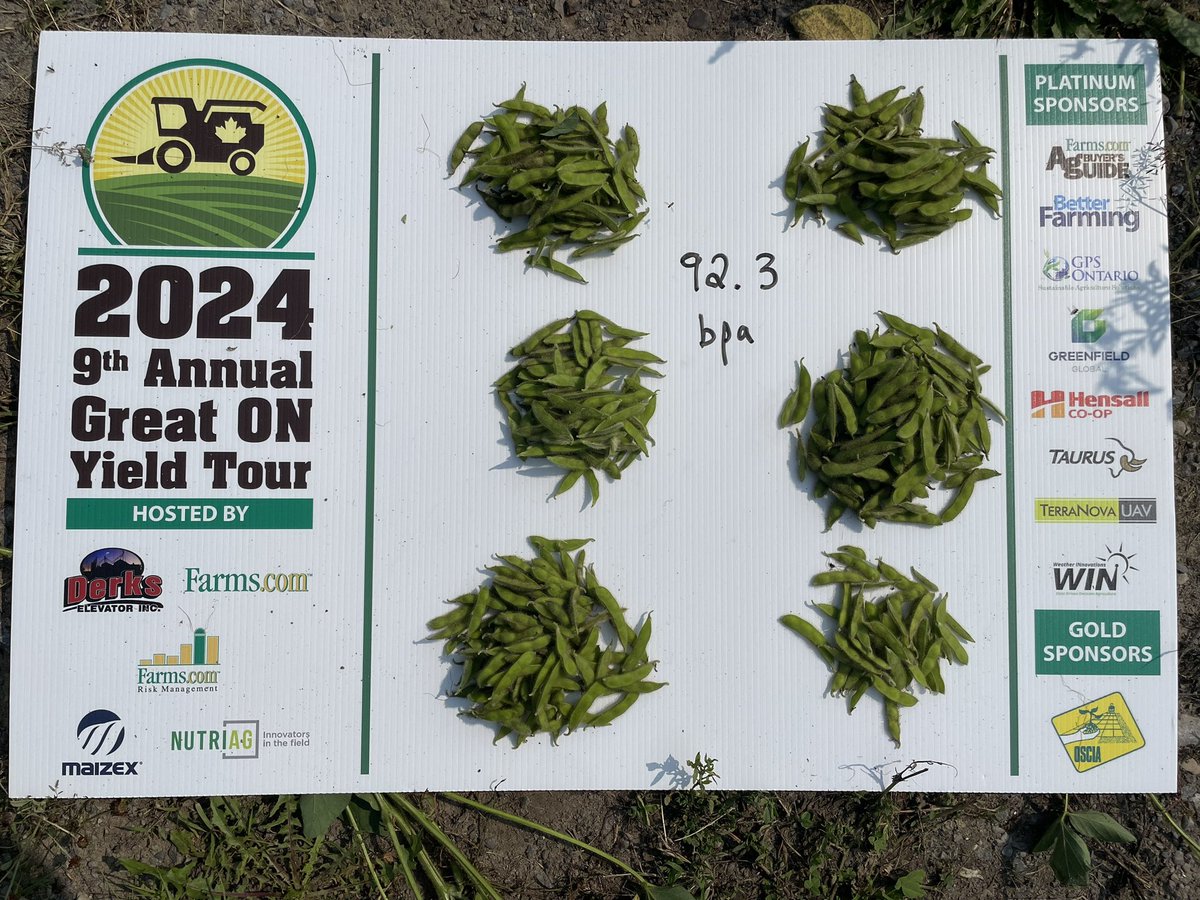 Day 3 of #ONYield24 in North Dundas County. Some great looking crops - corn looks to be avg and soybeans above avg where not drowned out. Yield counts from 64-92 bpa for soybeans &amp; 184-200 bpa for corn <a href="/Maizex/">Maizex Seeds</a> <a href="/NutriAg/">NutriAg ®</a> <a href="/MrFarmerD/">Marty</a>