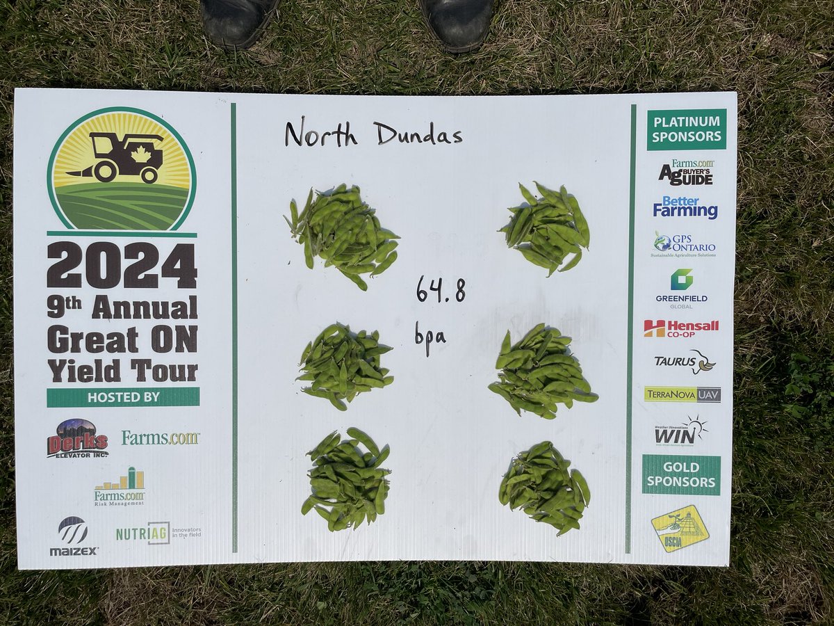 Chad Mangan tweet media