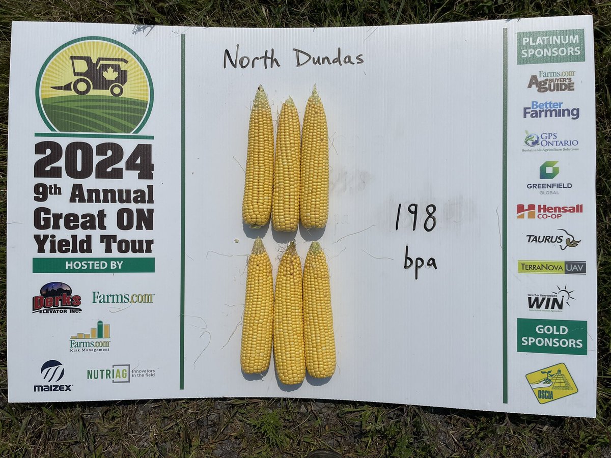 Chad Mangan tweet media