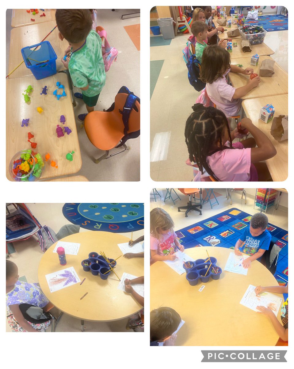 Spring Valley Elementary DPS tweet media