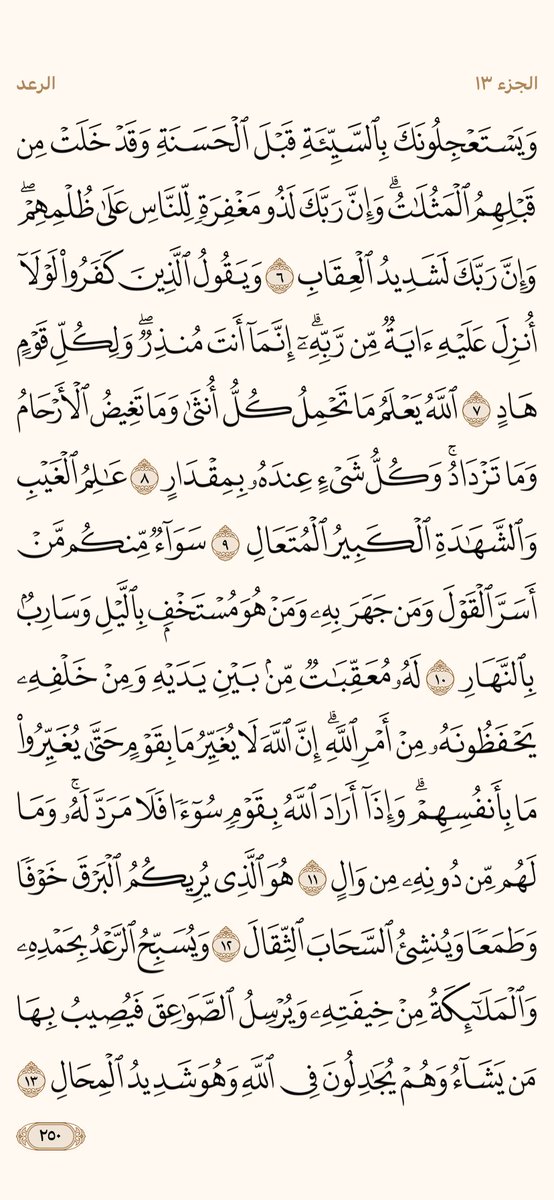 AlMosahf's tweet photo. ورد الخميس https://t.co/EuFO0yO1gg
