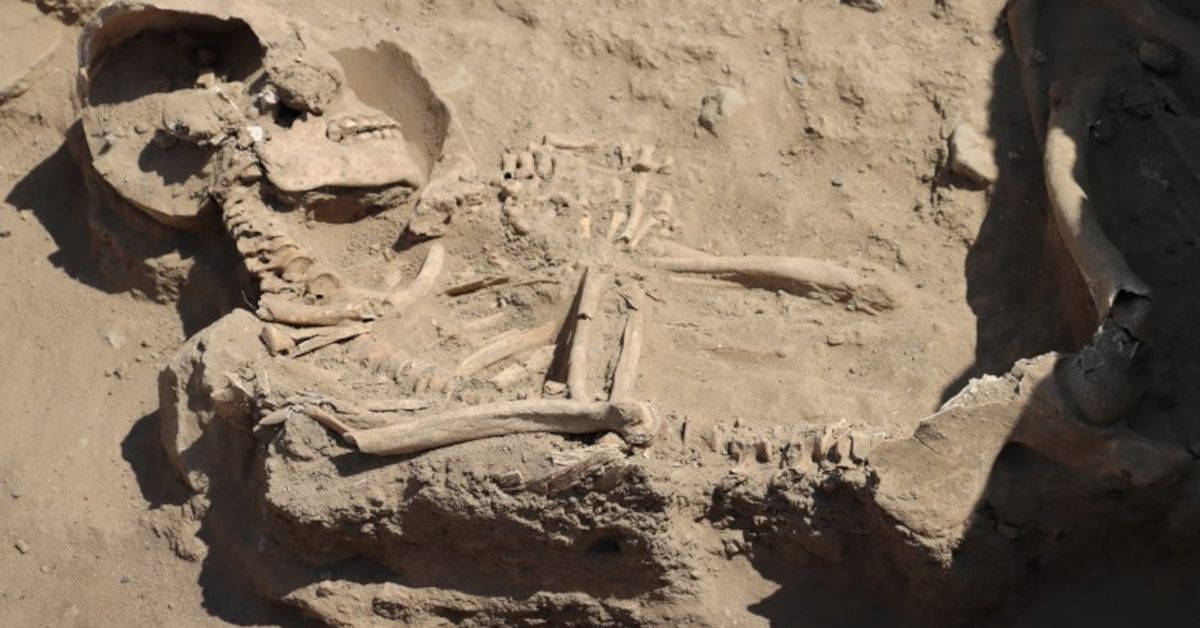 Reuters's tweet photo. Archaeologists unearth bodies in Peruvian temple up to 3,800 years old https://t.co/R6zRYjxknL https://t.co/Rq4nMdD0HM