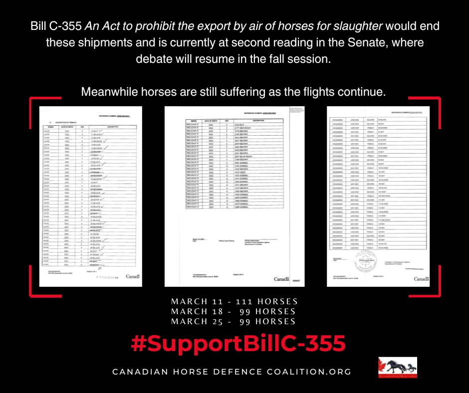 defendhorsescan's tweet photo. Please ask Senators to support Bill C-355 by sending the letter at https://t.co/5JtnElyKJN or on the CHDC website (click the link in the blue box on our home page) https://t.co/YUyhJIKFn6
Updates are posted on our website: https://t.co/Hr4x7lZ64Y
#SupportBillC355
#horseshit https://t.co/qji3VruD9g