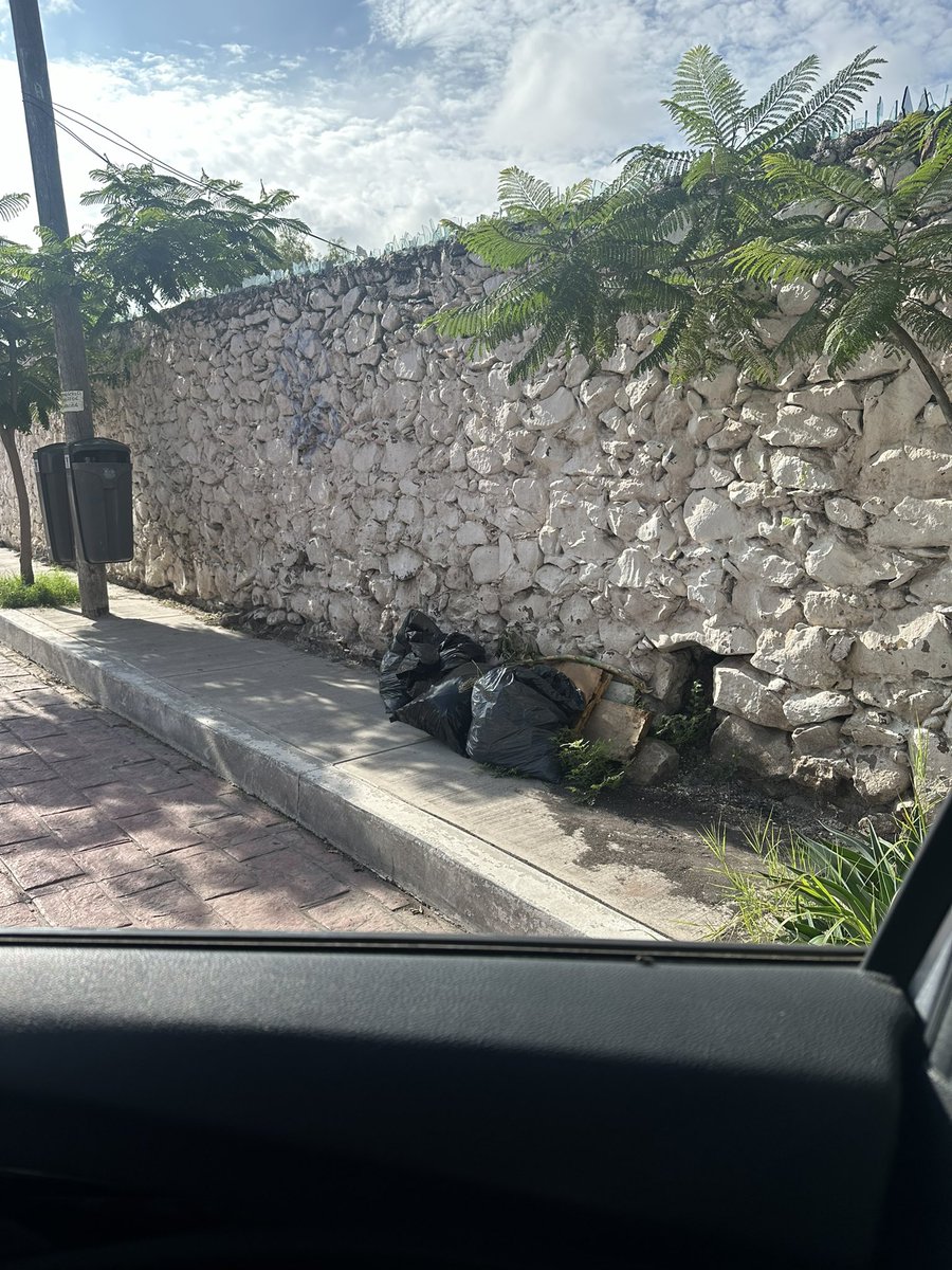 Alondramoflor's tweet photo. @ColCimatario @qromunicipio Buenos días, ahí sigue la basura. Gracias https://t.co/AjM2MbdXAV