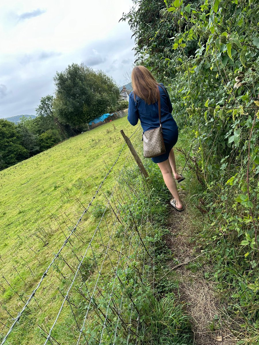 LauraDoel tweet media