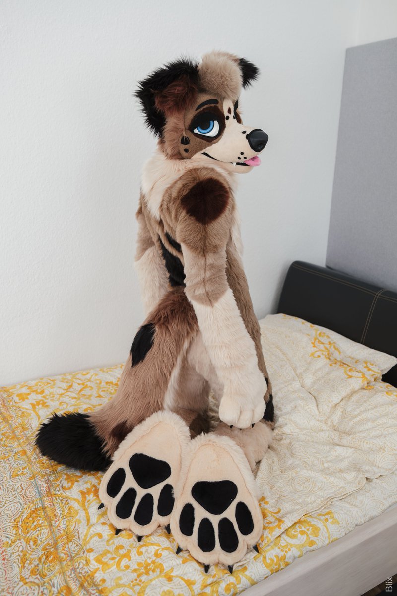 Advertise your account using only a picture of your paws!

Why did we all just go for feetpaws without thinking?
Soft Aussie paws are made for cuddles.

🧵 <a href="/AlphaDogsStudio/">Alpha Dogs</a> 
📷 <a href="/knallstock/">Knalli Knallstock 🔜 EAST | TFI</a>