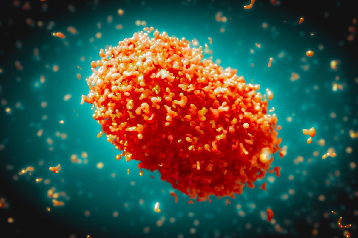 WHO African Region (@whoafro) on Twitter photo 🚨 BREAKING: <a href="/WHO/">World Health Organization (WHO)</a> has declared the ongoing #mpox outbreak a Public Health Emergency of International Concern (PHEIC).
A public health emergency of international concern is the 𝐇𝐈𝐆𝐇𝐄𝐒𝐓 alert level under international health law.
Learn more➡️ : who.int/news/item/14-0… 🚨 BREAKING: <a href="/WHO/">World Health Organization (WHO)</a> has declared the ongoing #mpox outbreak a Public Health Emergency of International Concern (PHEIC).
A public health emergency of international concern is the 𝐇𝐈𝐆𝐇𝐄𝐒𝐓 alert level under international health law.
Learn more➡️ : who.int/news/item/14-0…