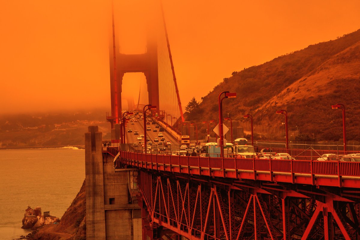 2020. Bay Area. #UnnaturalDisaster
