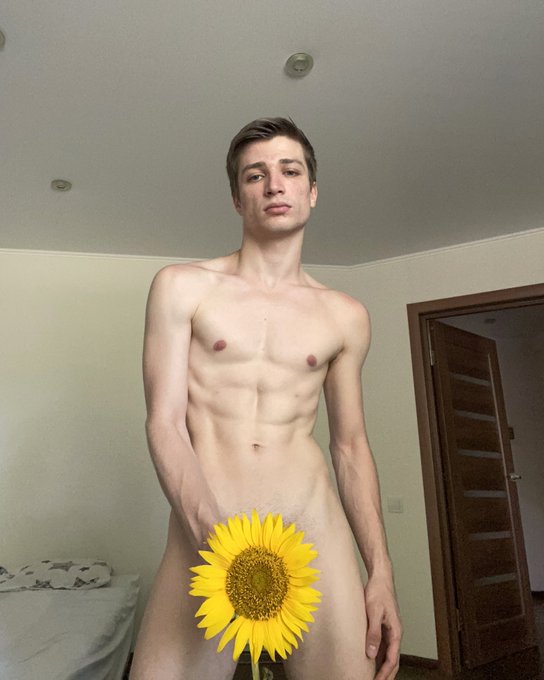 🌻 https://t.co/X5GDCaA8nu