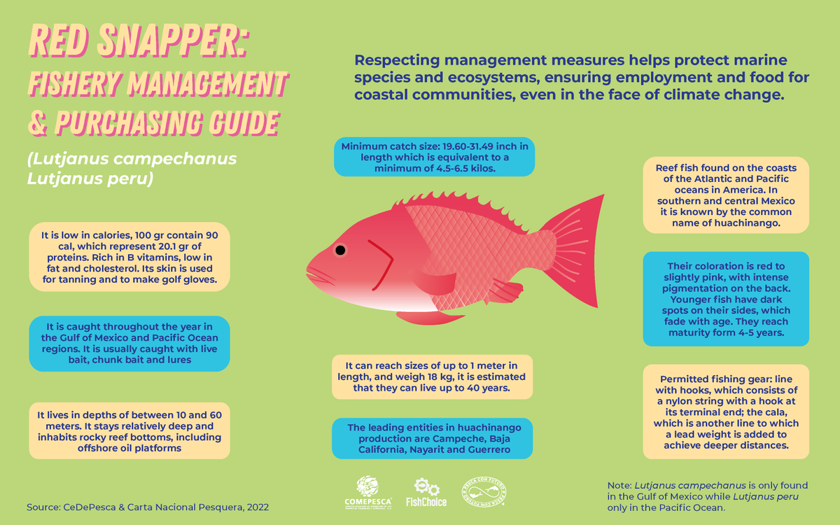 FishChoice tweet media