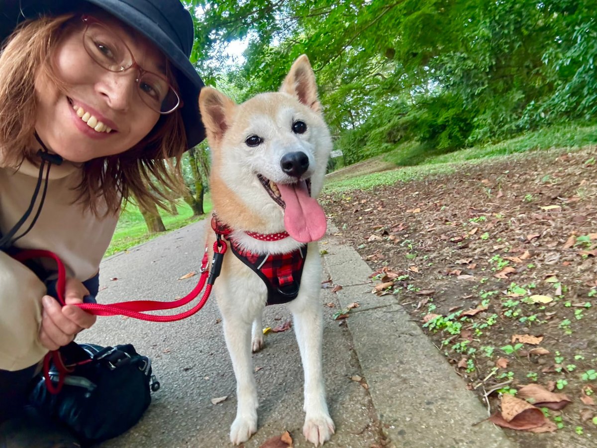 Started accumulating some $SATO on this dip.

Sato is the mother of Doge (Kabosu), $NEIRO also known online as @ kabosumama

This is the first bullish one i've seen paying tribute to the mom that started it all, and it has an anime twist which makes it more bullish since she is