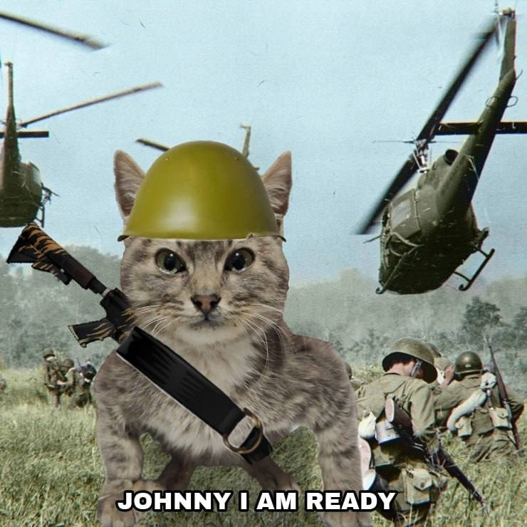 G793GvF3r95uSs5THNwTnqWd1GcEwF1GSBJqDSUApump