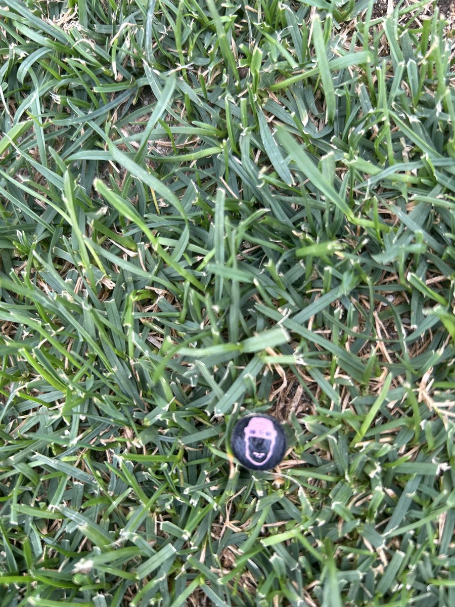 Spotted @ Cedar Knoll CC- VT

<a href="/spittinchiclets/">Spittin' Chiclets</a> <a href="/ryanwhitney6/">Ryan Whitney</a> <a href="/BizNasty2point0/">Paul Bissonnette</a> <a href="/MikeGrinnell_/">Mike Grinnell</a> <a href="/mattmurley19/">Murls</a>