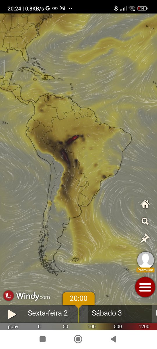 Rodolfo Salm 🌳🌴🌴🌴🏹😺 tweet media