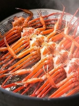 스팀 찜해놓은 게임