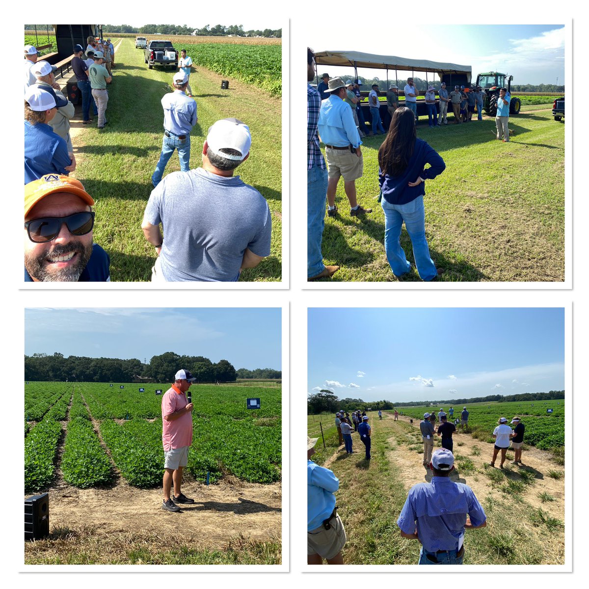 Eros Francisco (@eabfranc) on Twitter photo What a productive week! Three field days in a row, the last one at the Gulf Coast Rec in Fairhope, AL this morning! Extension is all about sharing good information and helping stakeholders to succeed. Thanks to all participants! <a href="/ACESedu/">Alabama Extension</a> <a href="/AuburnAg/">Auburn Agriculture</a> <a href="/AuburnCSES/">CSES Auburn University</a> What a productive week! Three field days in a row, the last one at the Gulf Coast Rec in Fairhope, AL this morning! Extension is all about sharing good information and helping stakeholders to succeed. Thanks to all participants! <a href="/ACESedu/">Alabama Extension</a> <a href="/AuburnAg/">Auburn Agriculture</a> <a href="/AuburnCSES/">CSES Auburn University</a>