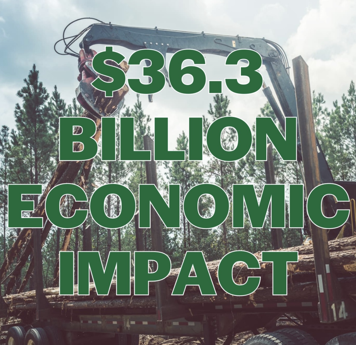 ALForestryComm's tweet image. Check it out👇🏼👇🏼Alabama - the state where money DOES grow on trees!

forestry.alabama.gov/Pages/News/202…