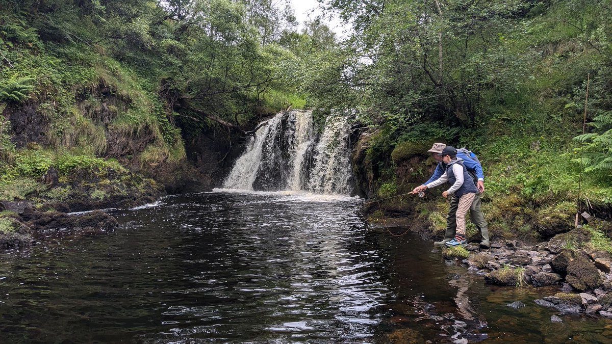 AssyntFly's tweet photo. Family #flyfishing at its best! #flyfishing #troutfishing #wildbrowntrout #assynt #scottishhighlands https://t.co/r0pFPS9c39