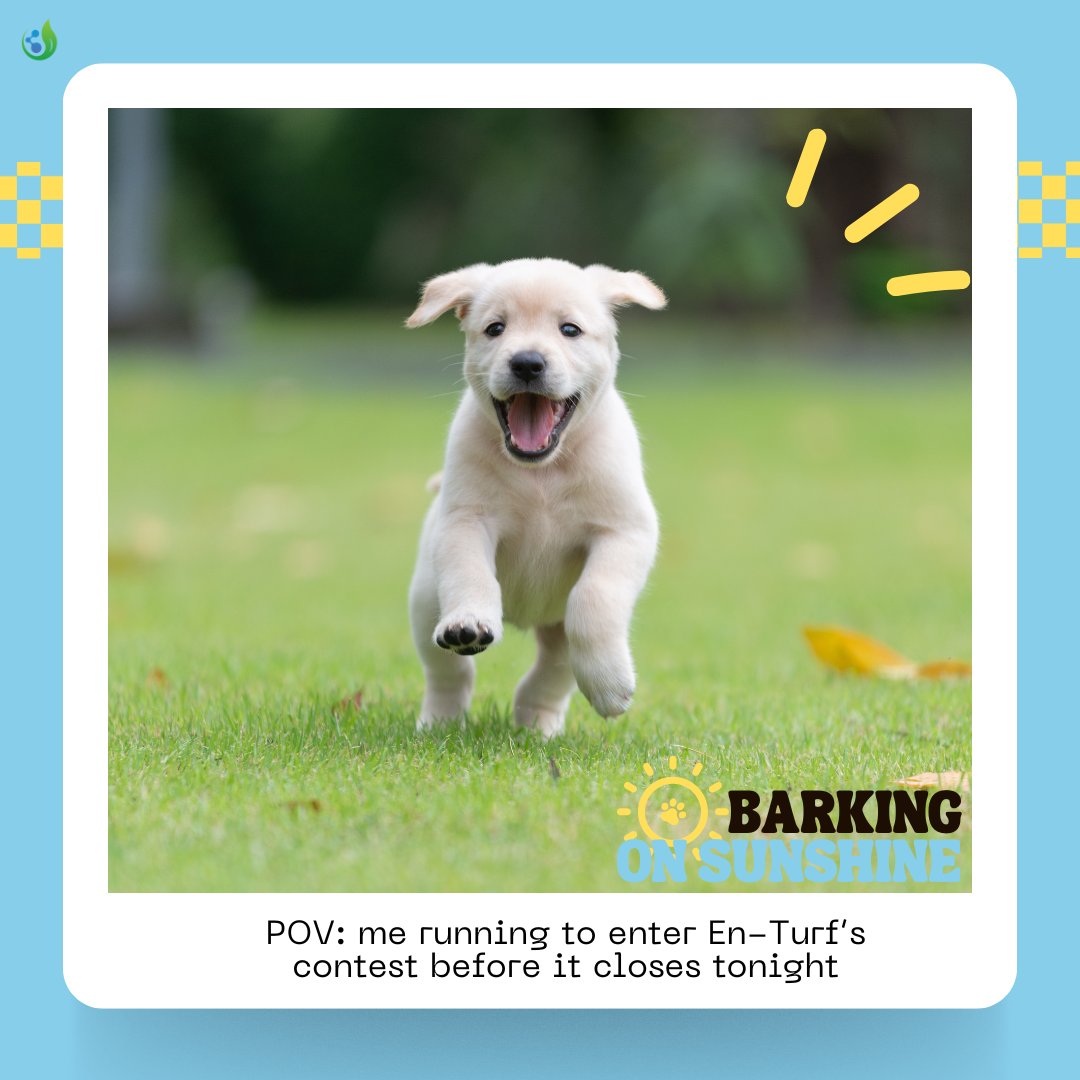 en_turf's tweet photo. Donโt walk, RUN to enter in our contest before 11:59 PM TONIGHT โผ๏ธ
All you have to do is follow us!
#SuperintendentCommunity #TurfDogs #DogsOfTurf #EveryRoundStartsHere https://t.co/4QmNQXeyRg