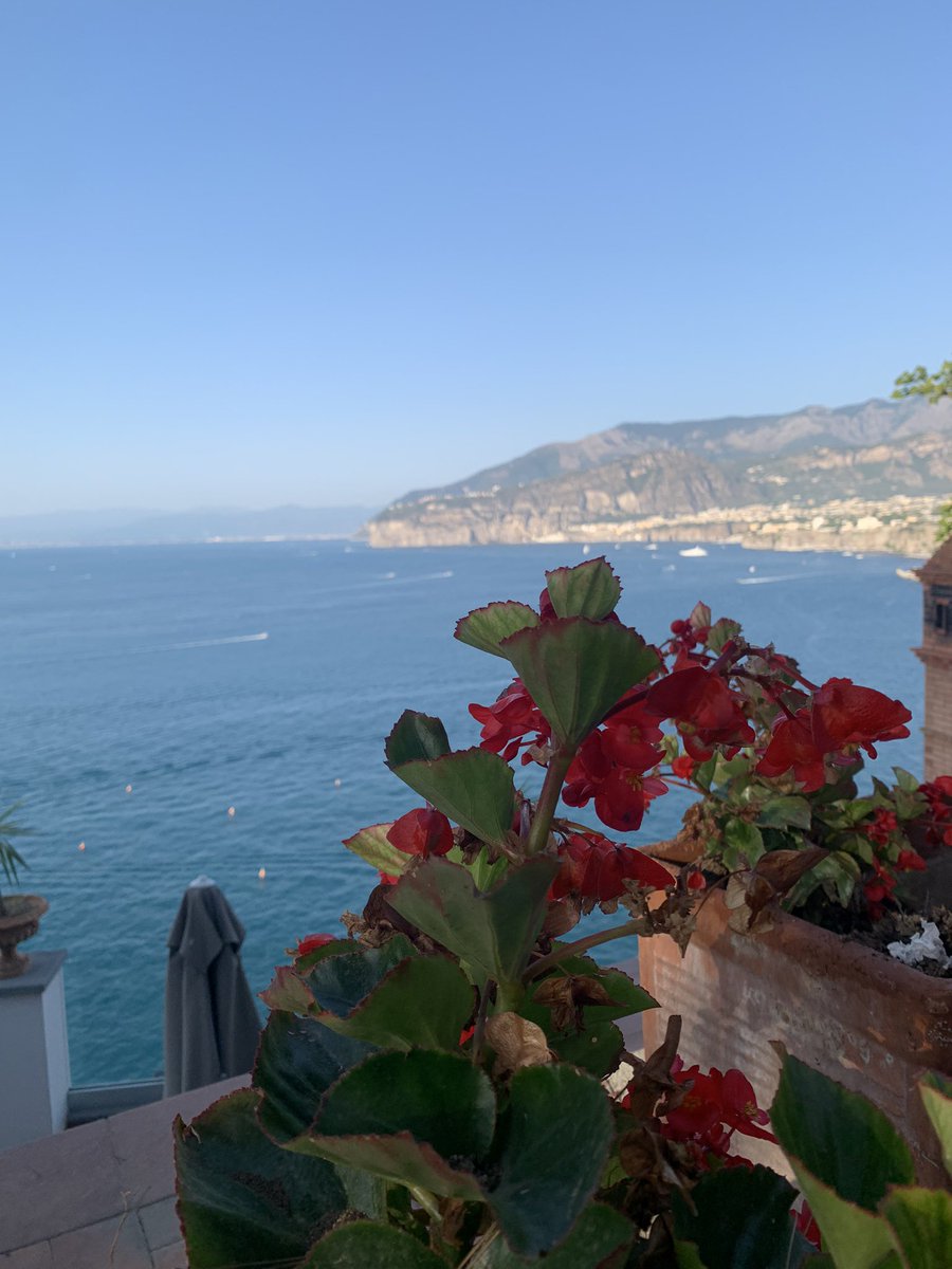 Helen Vass tweet media