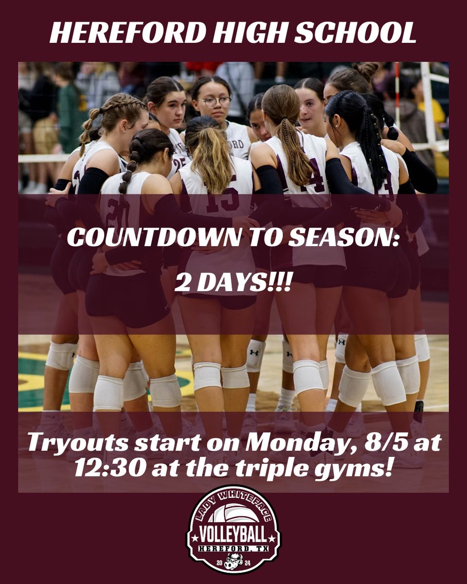 Lady Whiteface Volleyball tweet media