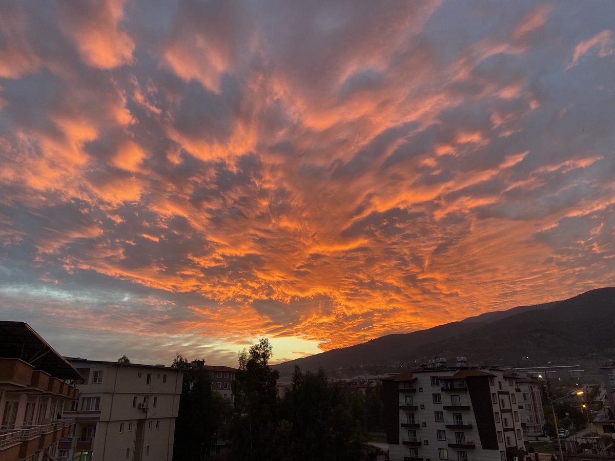 ayşe (@ayswankenobi) on Twitter photo 