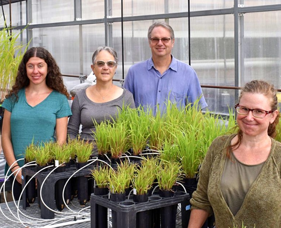 INVAM (@fungiinvam) on Twitter photo The whole <a href="/FungiInvam/">INVAM</a> team will be headed to #icom12! <a href="/lizkoziol/">Liz Koziol</a> Peggy Schultz, Jim Bever, & Terra Lubin. Come talk to us about your research ideas, culture or service needs, potential collaborations or visiting INVAM <a href="/KUEcoResearch/">Kansas Bio Survey & Center for Ecological Research</a>. We are nice. The whole <a href="/FungiInvam/">INVAM</a> team will be headed to #icom12! <a href="/lizkoziol/">Liz Koziol</a> Peggy Schultz, Jim Bever, & Terra Lubin. Come talk to us about your research ideas, culture or service needs, potential collaborations or visiting INVAM <a href="/KUEcoResearch/">Kansas Bio Survey & Center for Ecological Research</a>. We are nice.