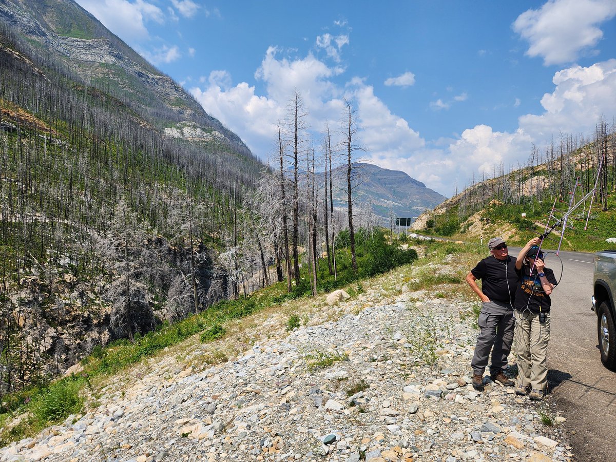 Amy_Shirb tweet media