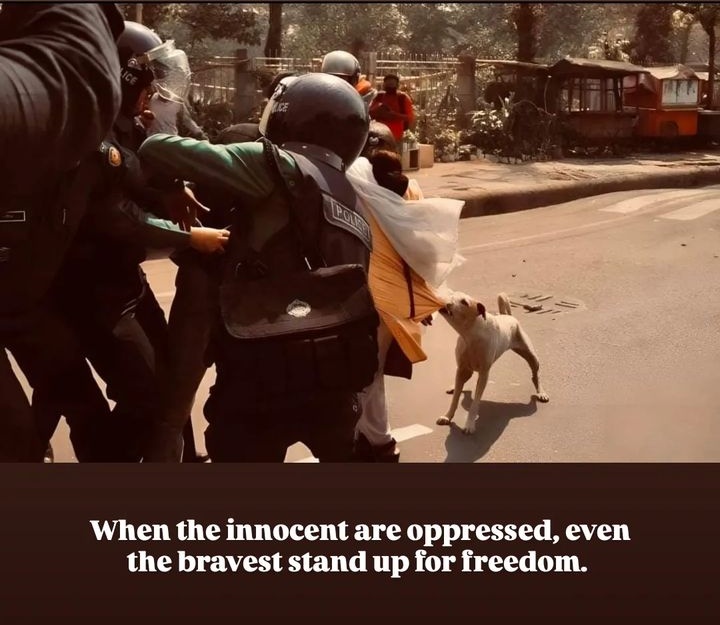 BD_TALKS's tweet photo. #SaveBangladesh 
#StepDownHasina https://t.co/lO9q3yGzrV