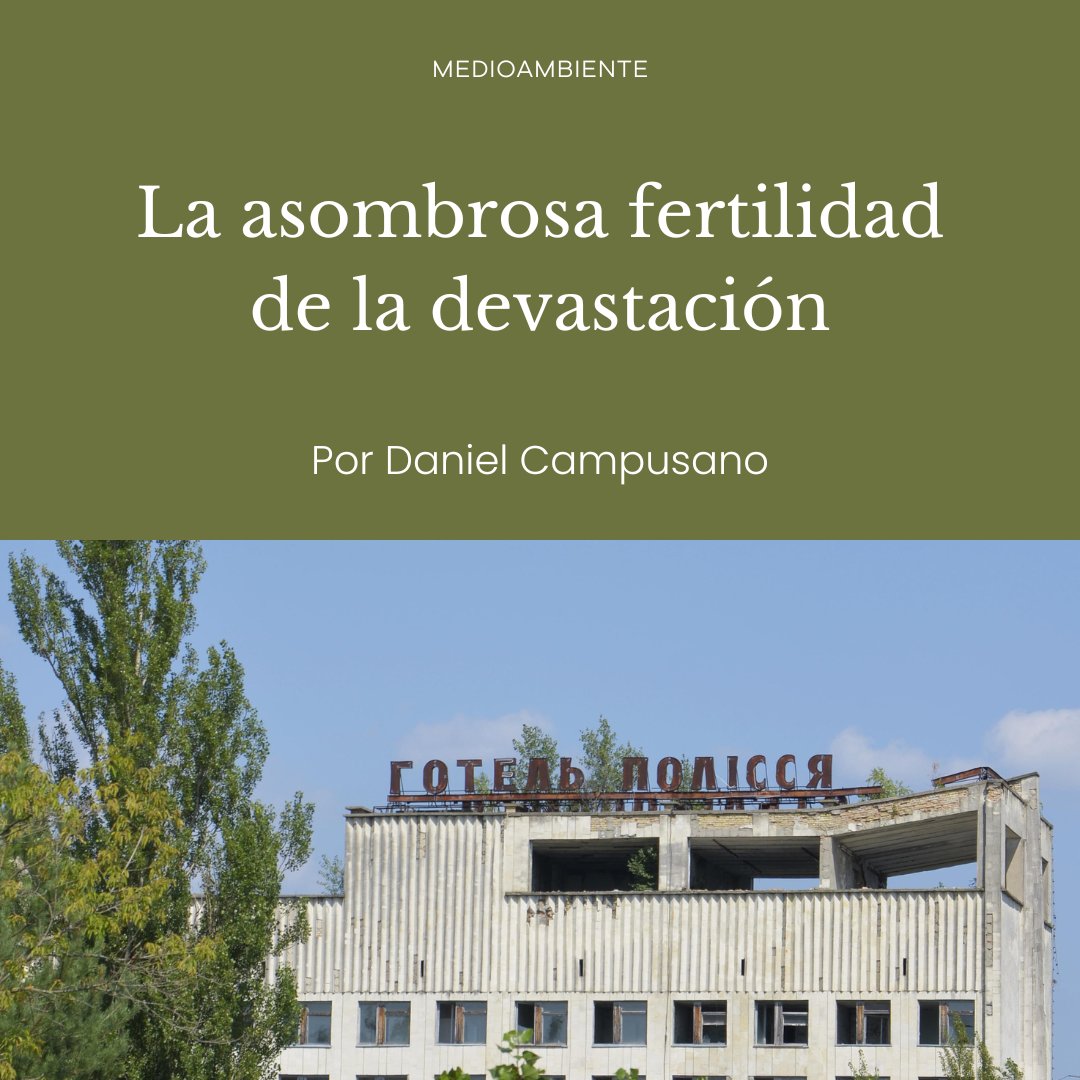 Revista Santiago tweet media