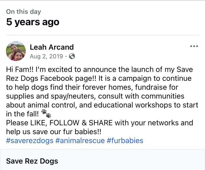 saverezdogs tweet media