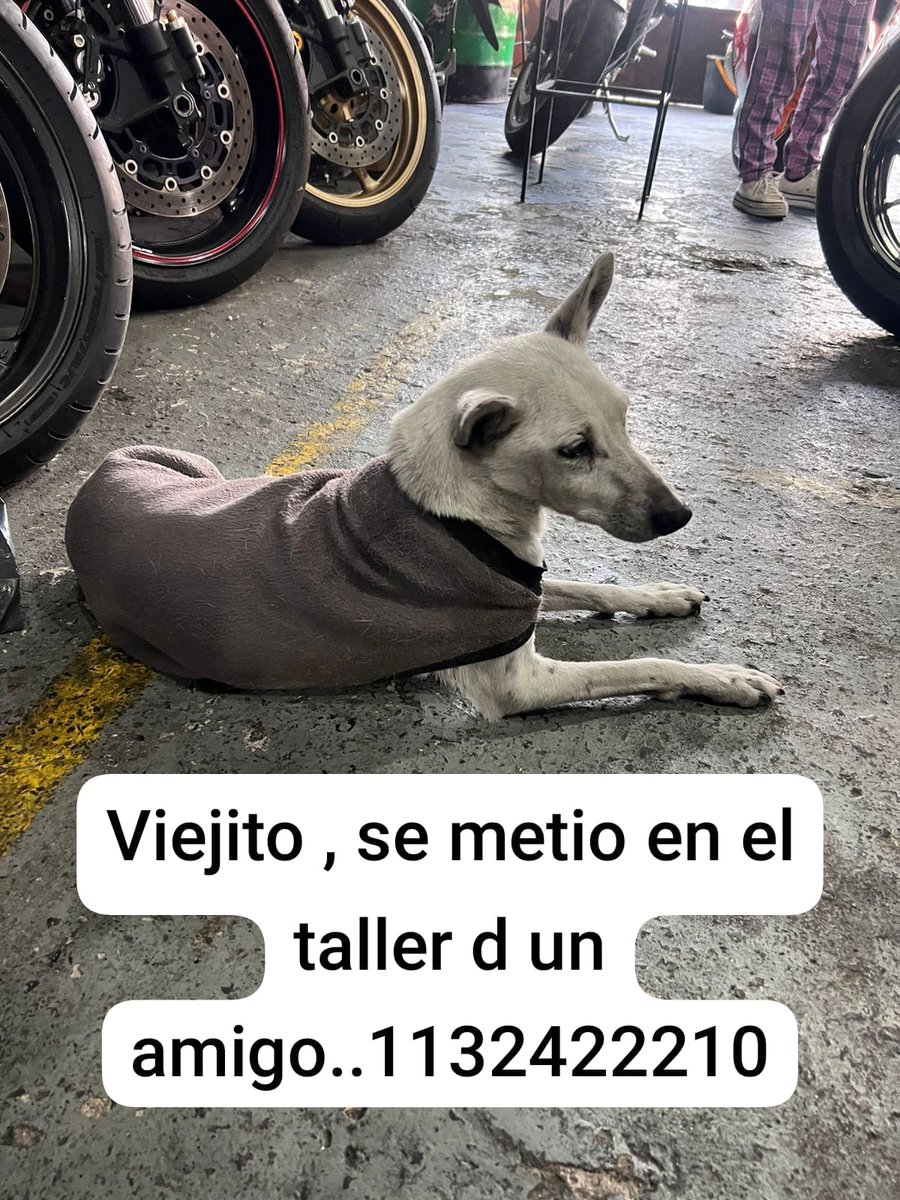 patripeyrou's tweet photo. Difundimos https://t.co/aNnBadOmFo