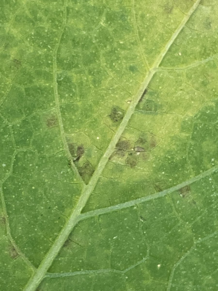 Elaine Roddy tweet media