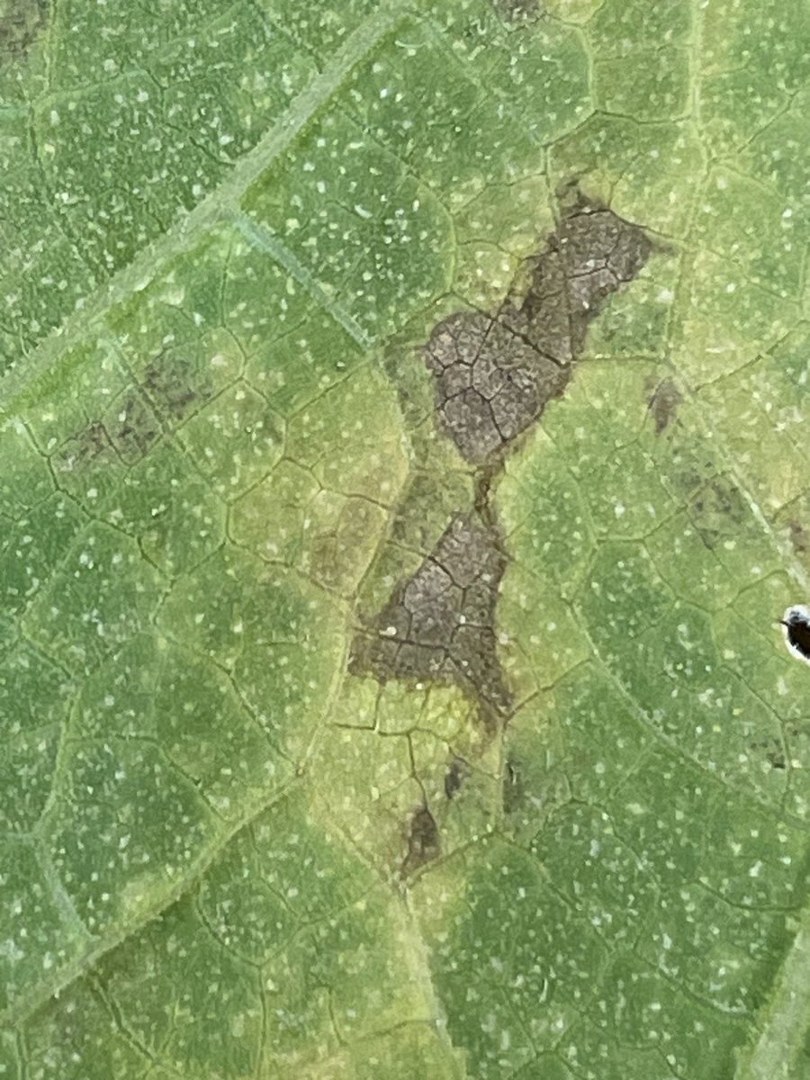 Elaine Roddy tweet media