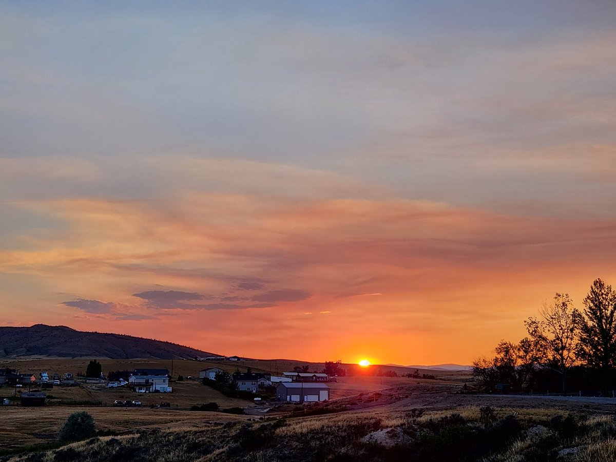 Amy_Shirb tweet media