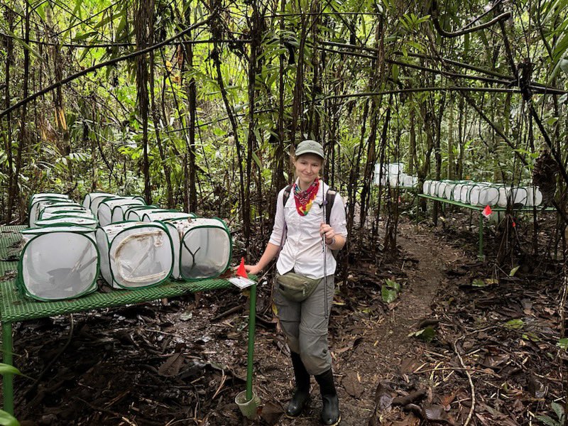 AUMNH2's tweet photo. #FieldworkFriday from #CostaRica Morgan Muell is very involved with #AUMNH, an #aubiology graduate student, and #LewisandClark Field Scholar! She is in Costa Rica studying lizard development at #LaSelva

🦎🦎🦎

#fromthefield #americanphilosphicalsociety #anole #auburnuniversity https://t.co/9BtRJ5VDuz