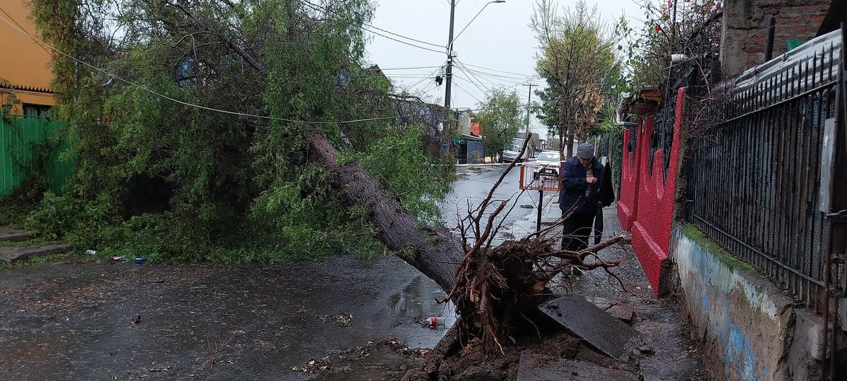 MV_Gauthier's tweet photo. Aun sin Luz en Lo Prado @MuniLoPrado, árbol caído en waldo taff con la independencia puede que se haya caído en los cables no se aprecia bien , no se ve personal de @Enel_Informa_CL @EnelChile en el sector, se les habla por ws para dar reporte  y tampoco responden. https://t.co/d21g9li5C5