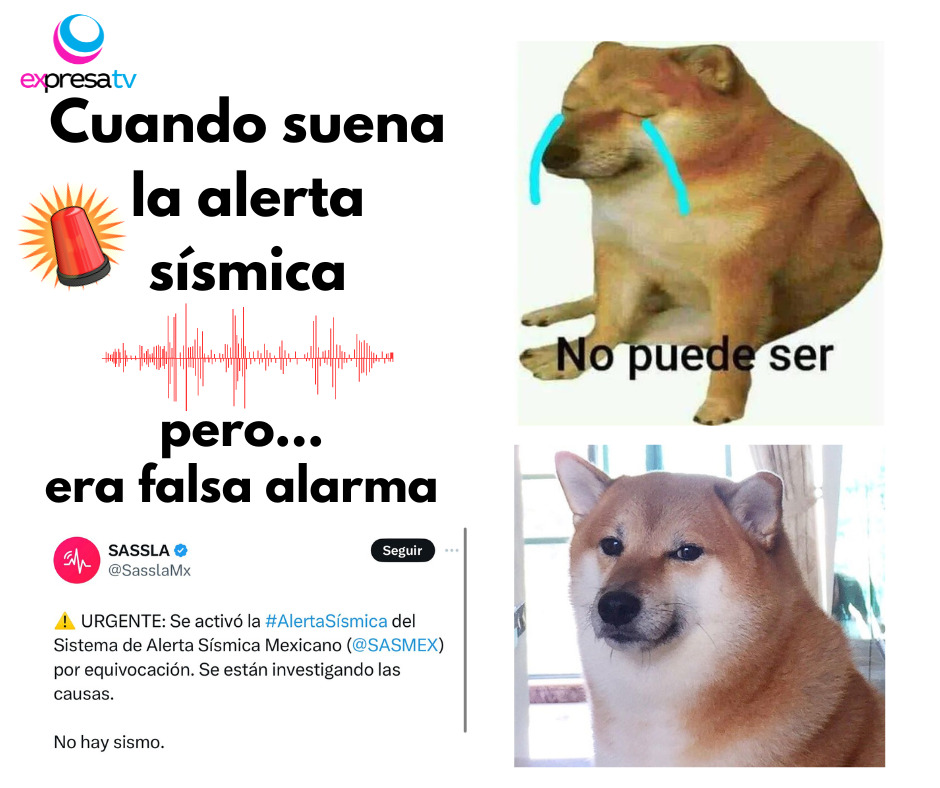 expresatvcelaya's tweet photo. 😹😹😹 https://t.co/CsqKtKNQlo