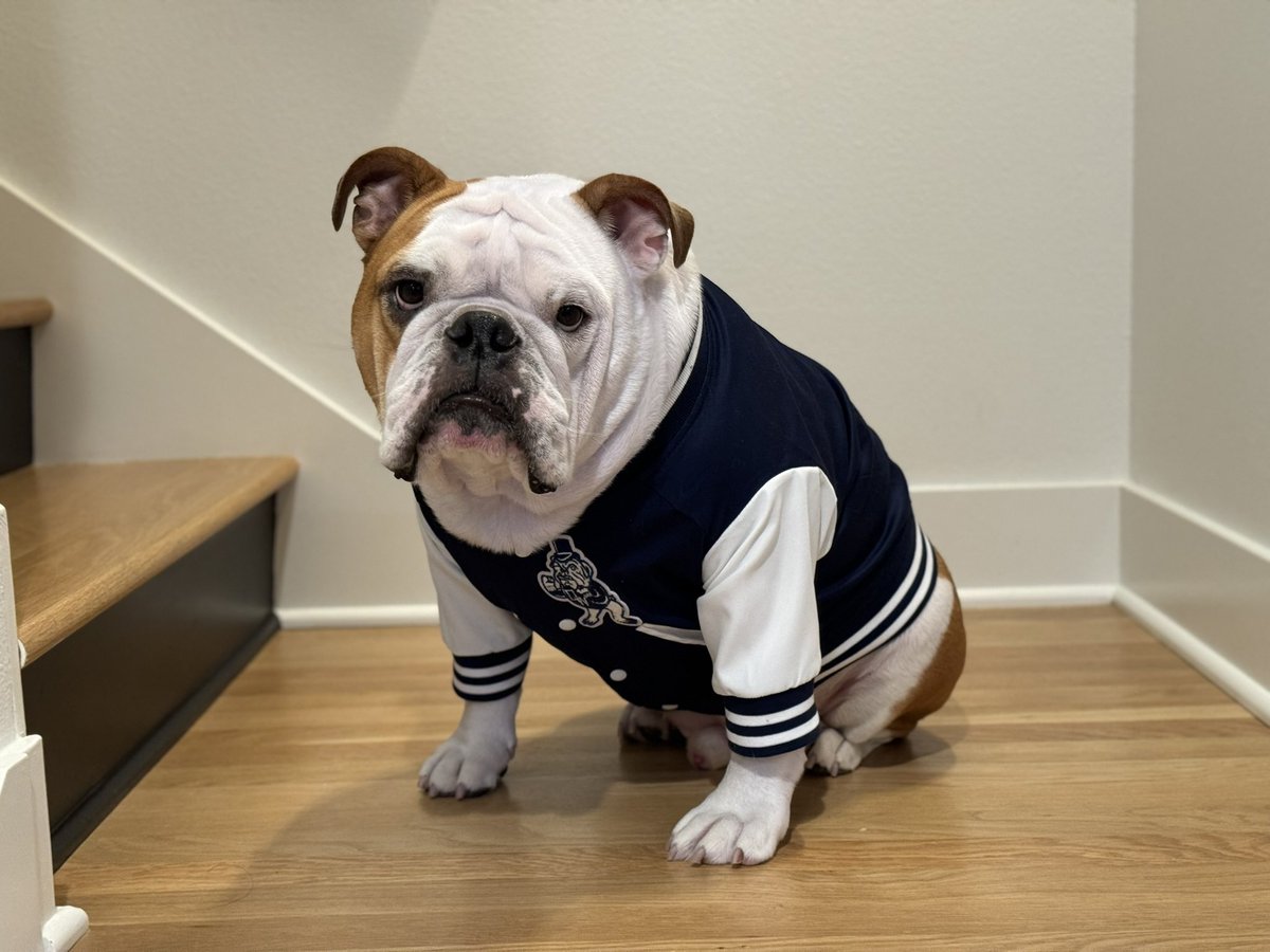 donlinsd5's tweet photo. @Eagles this is Reggie White Donlin. He would like to be considered for Associate Director of Joy or Fullback. Scouts say he has the skills, size and mentality for either. https://t.co/TGeiJ7QMmp