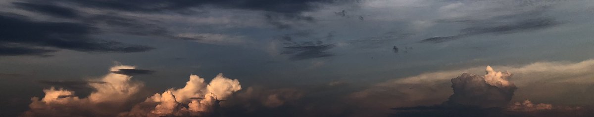 fattami0's tweet image. -ALT