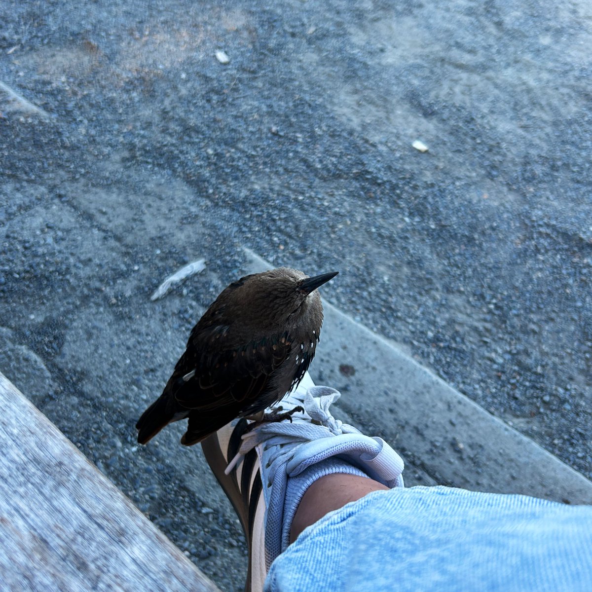 The happiest day of my life. ❤️🐦‍⬛