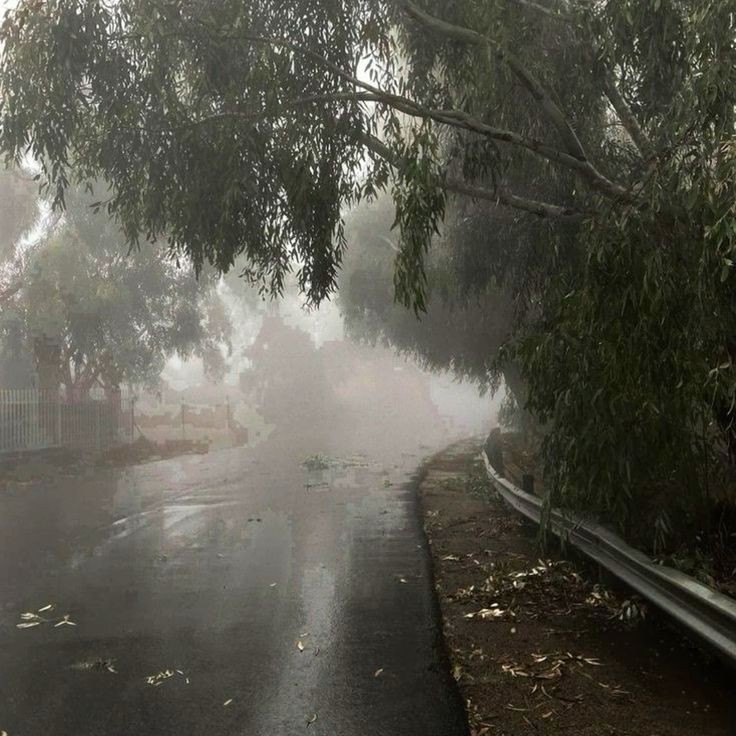 elemmiressoul's tweet photo. foggy rain. https://t.co/6U4pG8W9EW