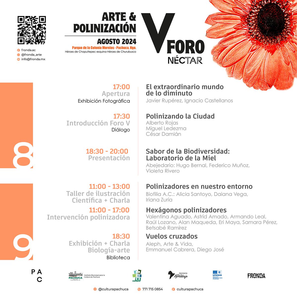 ParaisoColibri's tweet photo. Estaremos en Pachuca, Hidalgo, para el Quinto Foro Néctar, Arte &amp; Polinización. Los esperamos del 8 al 24 de Agosto en el Parque de la Colonia Morelos. 

#apoyosPAC #ComunidadPAC #artetransversal #artesocial #ArteColaborativo #arteyciencia #polinizacion https://t.co/hCBT4zeP7K