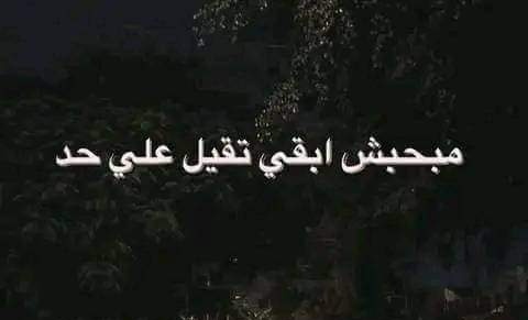 حرفيا ..