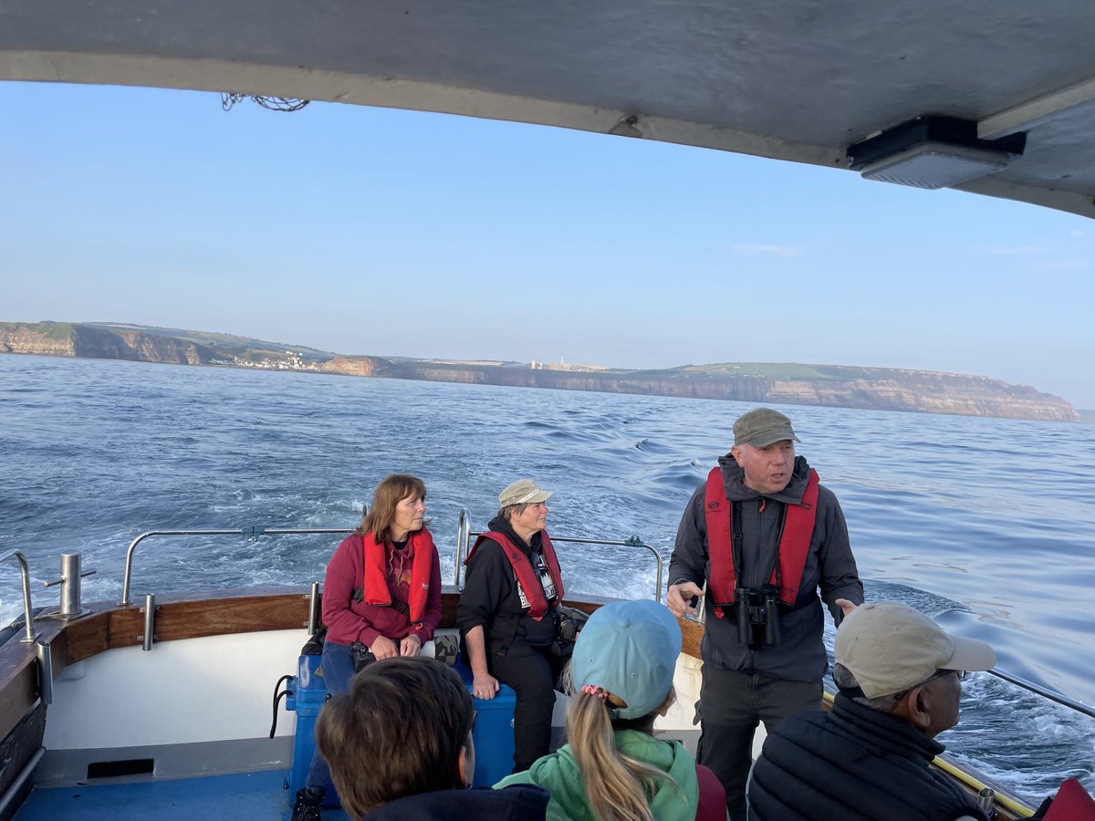 MalleyAndrew's tweet image. ⁦@YCNature⁩ ⁦@YWTLivingSeas⁩ Great trip out of Staithes this morning recording cetaceans with multiple views of at least 3 Minke Whales. Also some nice seabirds, Sooty And Manx Shears, Arctic Skua, Fulmars etc.